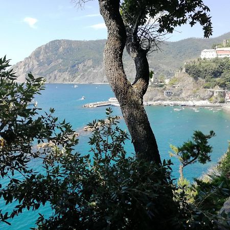 Nel Cuore Di Monterosso Cinque Terre Orto Di Ciack 몬테로소 알 마레 외부 사진