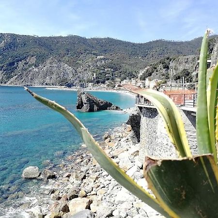 Nel Cuore Di Monterosso Cinque Terre Orto Di Ciack 몬테로소 알 마레 외부 사진