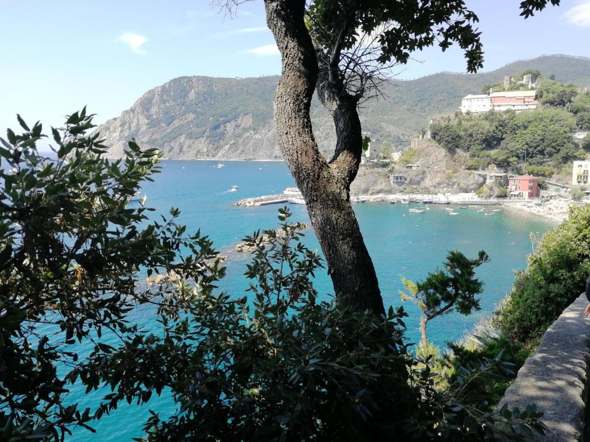 Nel Cuore Di Monterosso Cinque Terre Orto Di Ciack 몬테로소 알 마레 외부 사진
