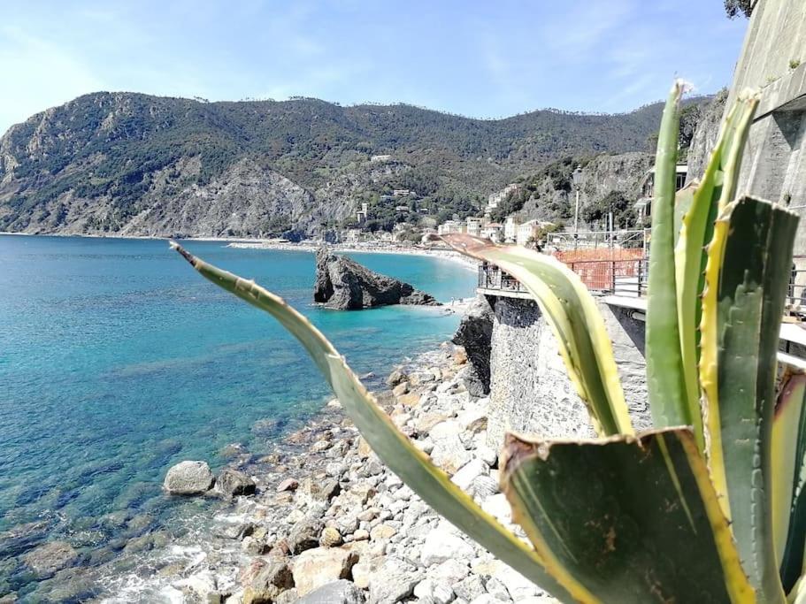 Nel Cuore Di Monterosso Cinque Terre Orto Di Ciack 몬테로소 알 마레 외부 사진